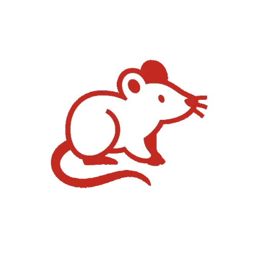 DTN by DALL’AGNOL | Lutte contre les rongeurs dans les Landes et le Pays Basque