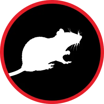 dératisation-dtn-dax-bayonne