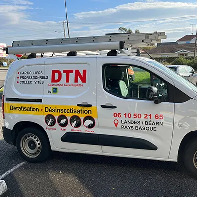 dtn-depigeonnage-dax-anglet