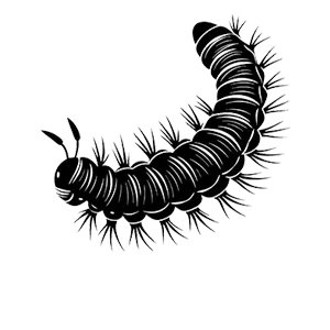 chenilles processionnaires DTN by DALLAGNOL