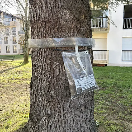 désinstectisation DTN landes chenilles processionnaires