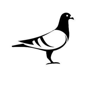 Dépigeonnage DTN by DALLAGNOL