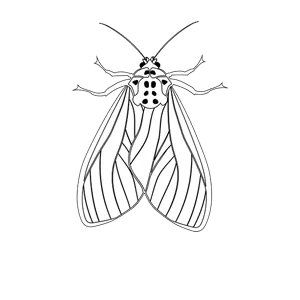 Mites Alimentaires DTN by DALLAGNOL