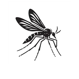 Moustiques DTN by DALLAGNOL
