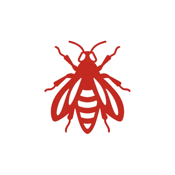 DTN by DALL’AGNOL | Lutte contre les insectes dans les Landes et le Pays Basque