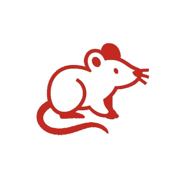 DTN by DALL’AGNOL | Lutte contre les rongeurs dans les Landes et le Pays Basque