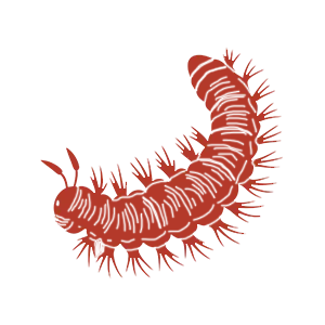 DTN by DALL’AGNOL | Lutte contre les rongeurs dans les Landes et le Pays Basque