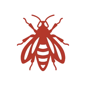 DTN by DALL’AGNOL | Lutte contre les insectes dans les Landes et le Pays Basque