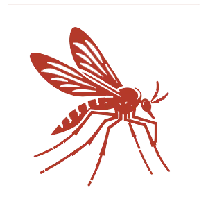 DTN by DALL’AGNOL | Lutte contre les rongeurs dans les Landes et le Pays Basque