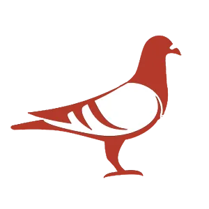 DTN by DALL’AGNOL | Lutte contre les rongeurs dans les Landes et le Pays Basque