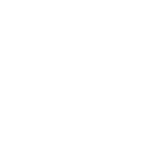 Traitement termites préventif, curatif, par pièges et avant construction